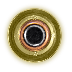 ZUBER 36 Kalibre (.410) 12 gram 36 Cal. Av Fişeği