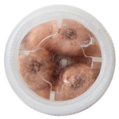 ZUBER 20 Kalibre 9'lu Şevrotin Av Fişeği - Gold